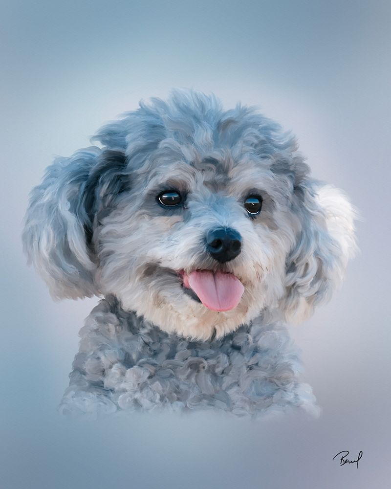 Poodle-Bella art print by Renel Peters for $57.95 CAD