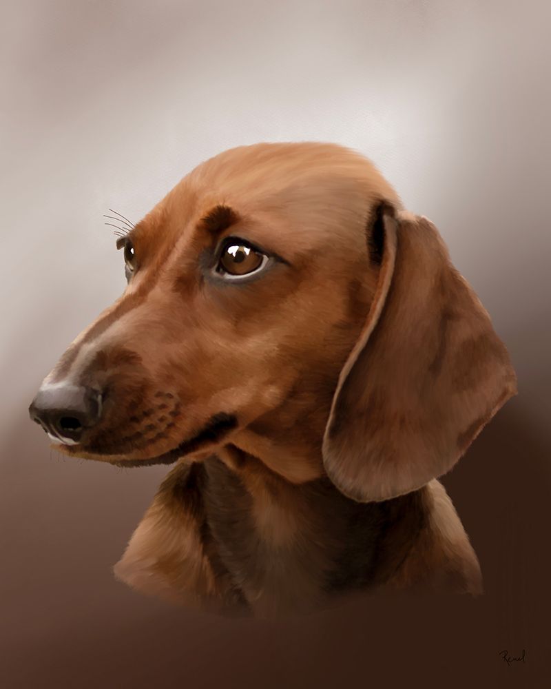 Dachshund Peyton art print by Renel Peters for $57.95 CAD