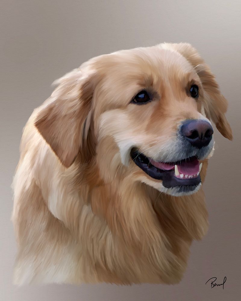 Golden Retriever Lassie art print by Renel Peters for $57.95 CAD
