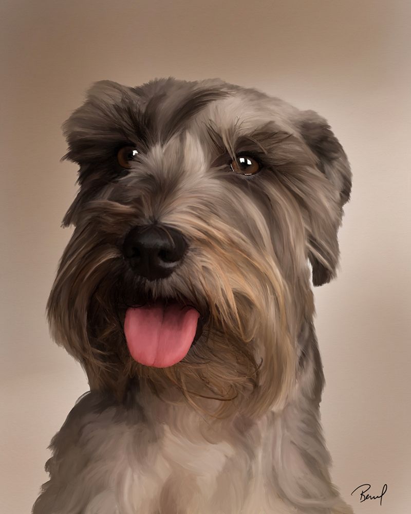 Miniature Schnauzer Marley art print by Renel Peters for $57.95 CAD
