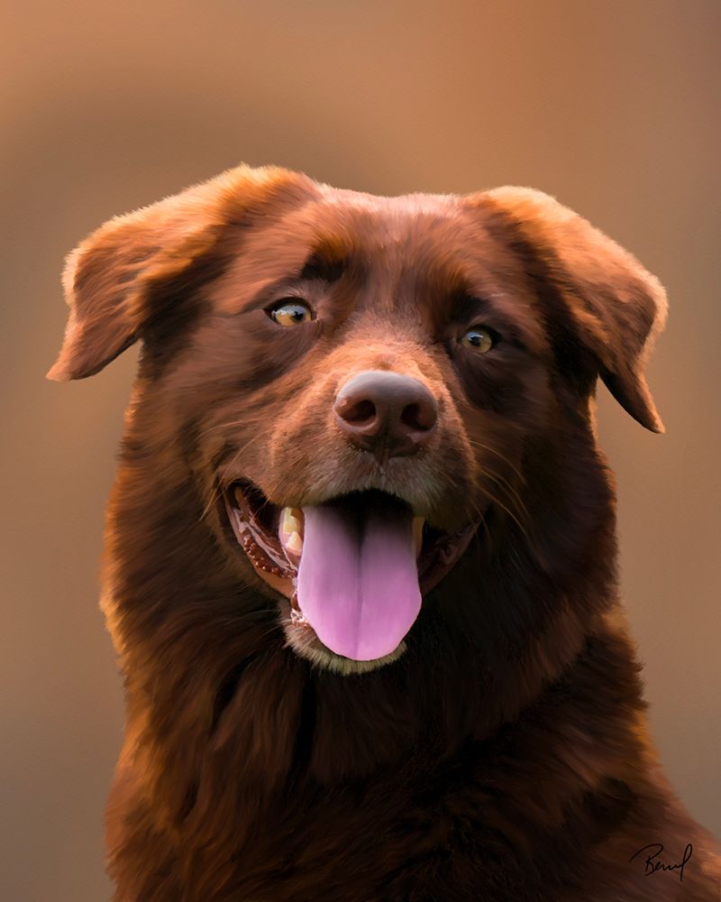 Australian Shepherd Lucy art print by Renel Peters for $57.95 CAD
