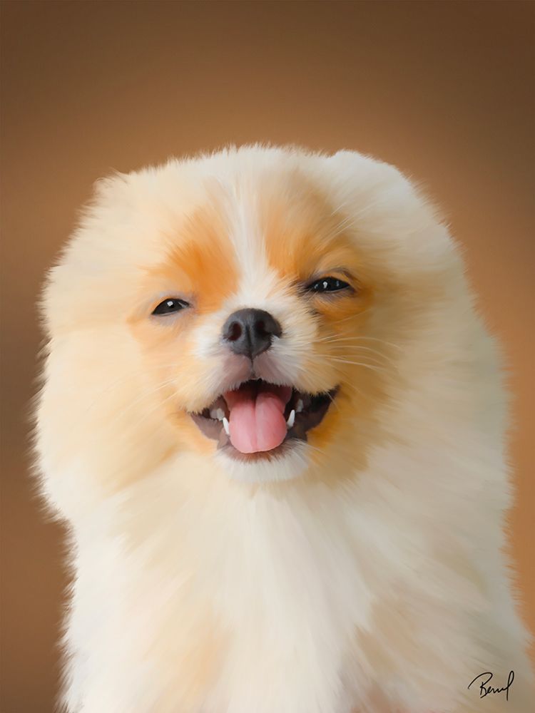 Pomeranian Luna art print by Renel Peters for $57.95 CAD