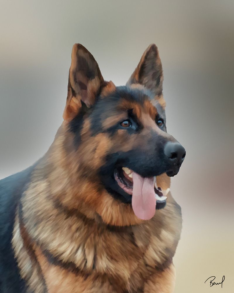 German Shepherd Kane art print by Renel Peters for $57.95 CAD