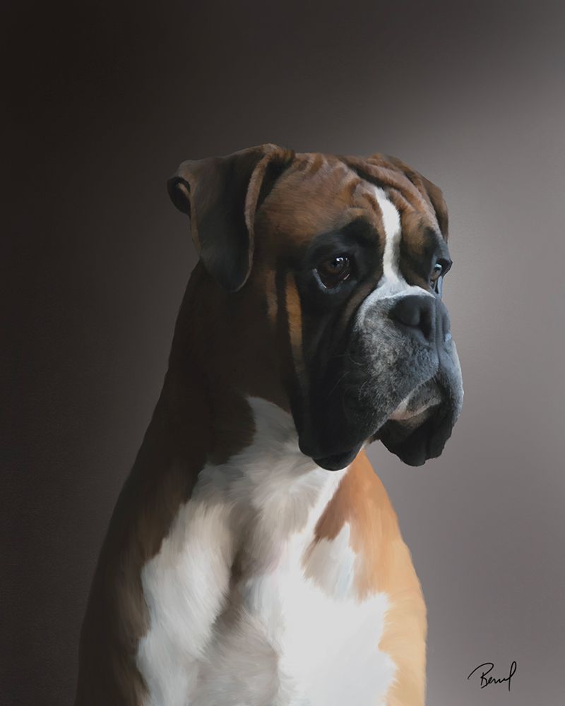 Boxer Kaiser art print by Renel Peters for $57.95 CAD