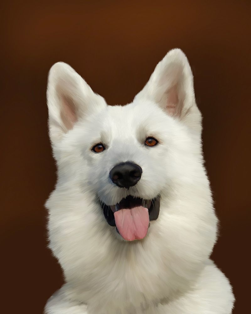 White Shepherd Bailey art print by Renel Peters for $57.95 CAD