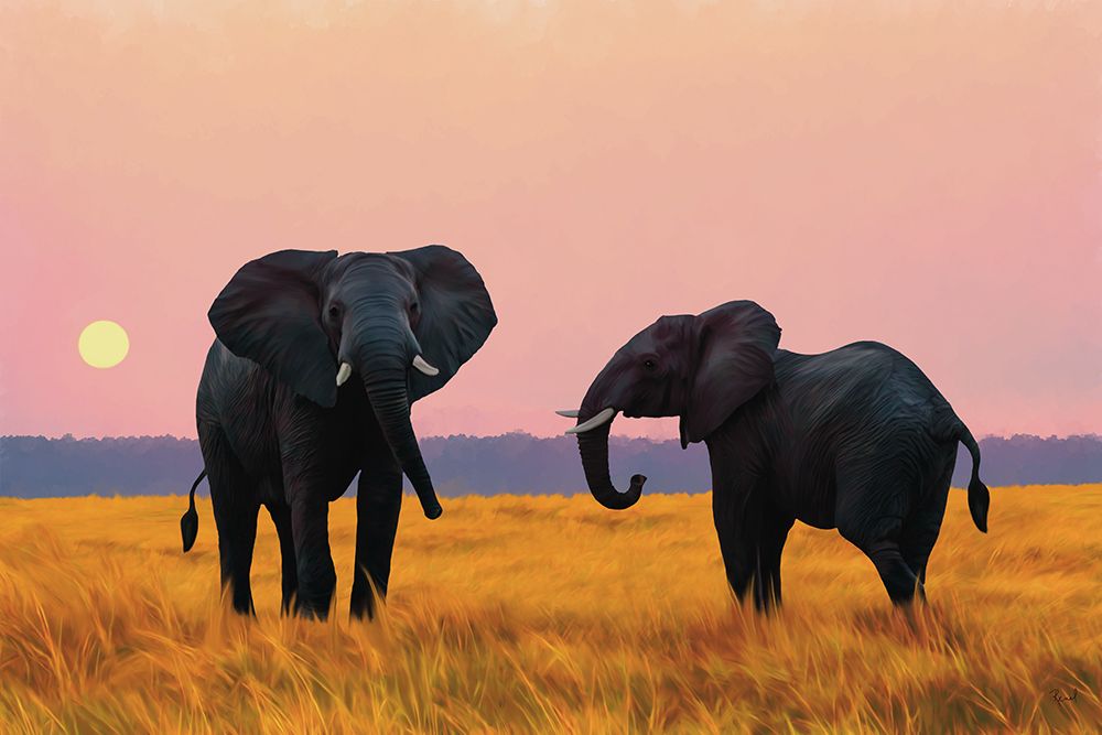 Elephant Pair At Sunset art print by Renel Peters for $57.95 CAD