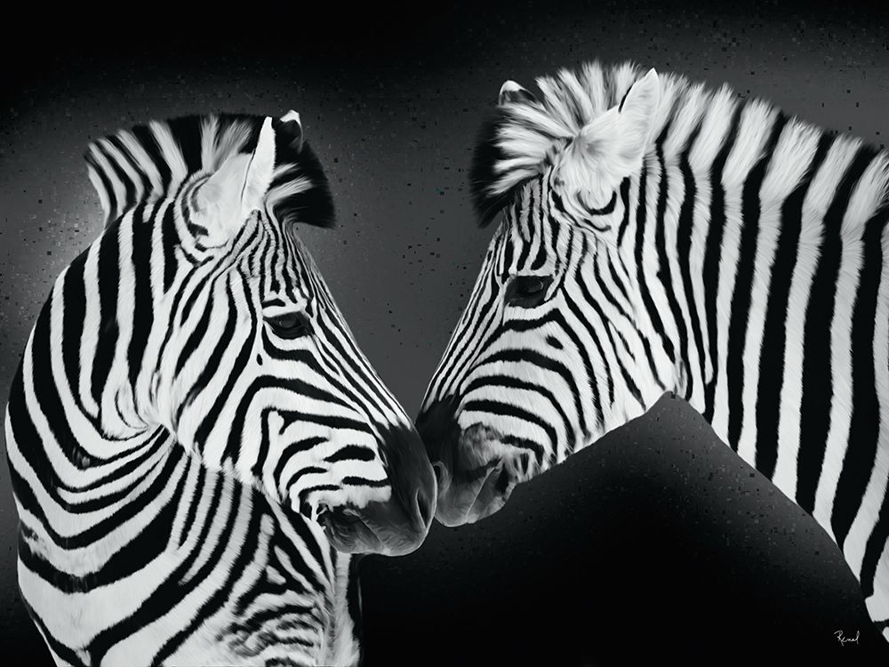 Pair Of Zebras art print by Renel Peters for $57.95 CAD