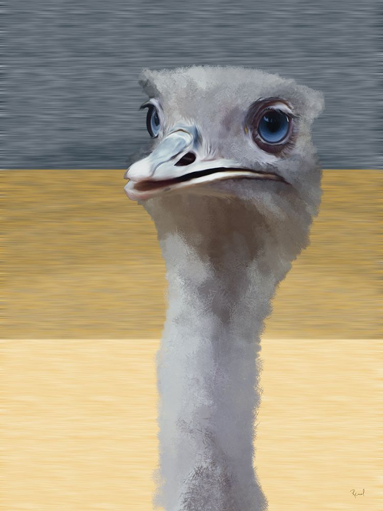 Ostrich art print by Renel Peters for $57.95 CAD