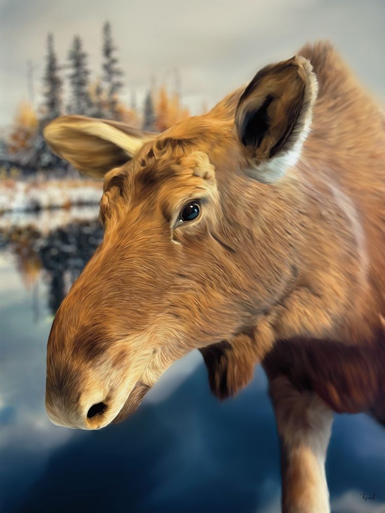 Moose art print by Renel Peters for $57.95 CAD