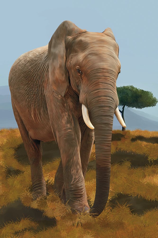 Leader Of The Herd art print by Renel Peters for $57.95 CAD