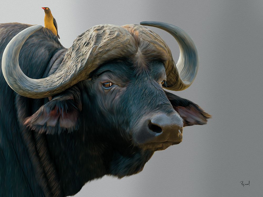 Ive Got My Eye On You Buffalo art print by Renel Peters for $57.95 CAD