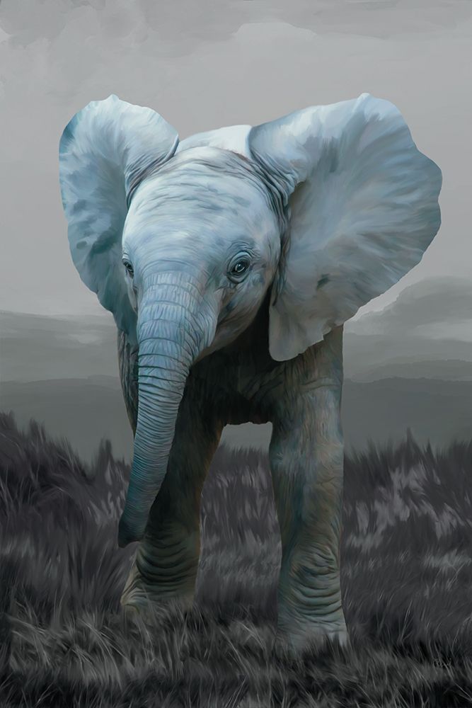 Baby Elephant art print by Renel Peters for $57.95 CAD