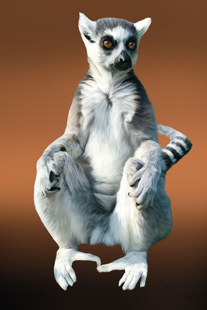 Lemur On Linen art print by Renel Peters for $57.95 CAD
