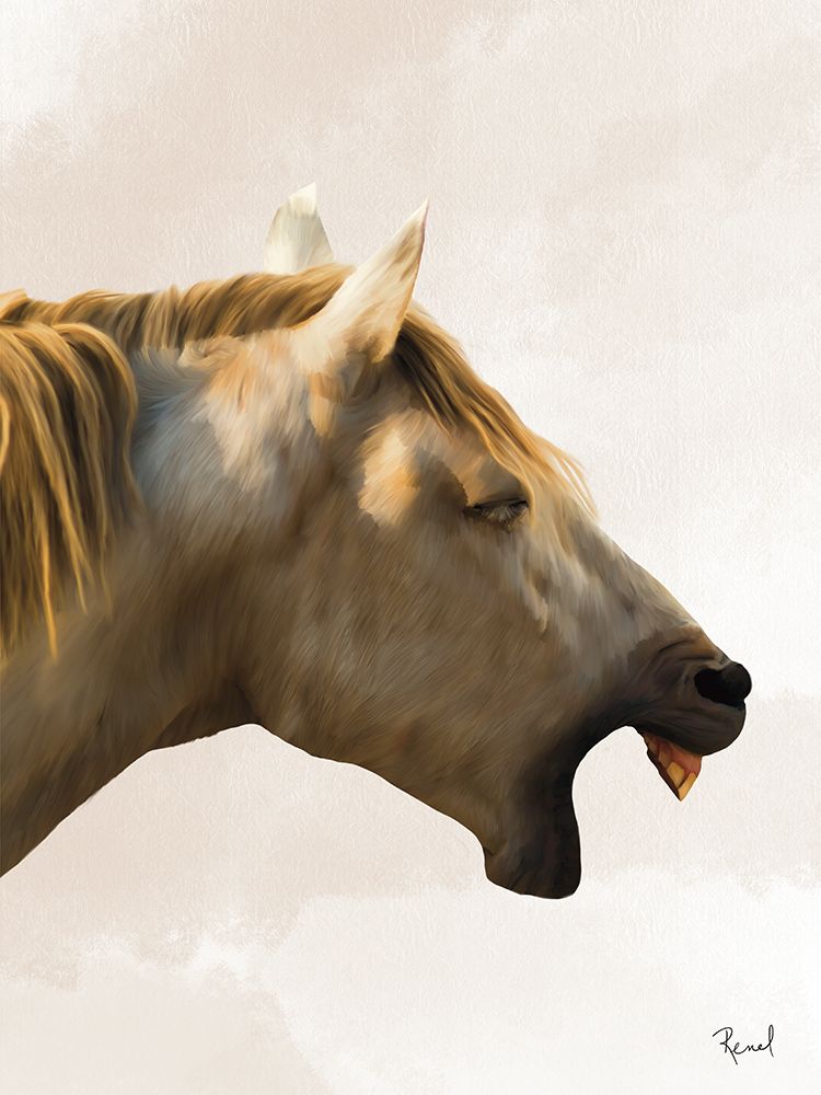 Laugh Out Loud Series 2 art print by Renel Peters for $57.95 CAD