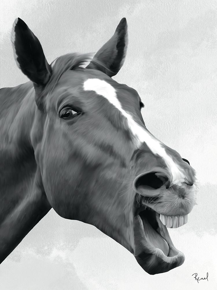 Laugh Out Loud Series 4 V2 art print by Renel Peters for $57.95 CAD
