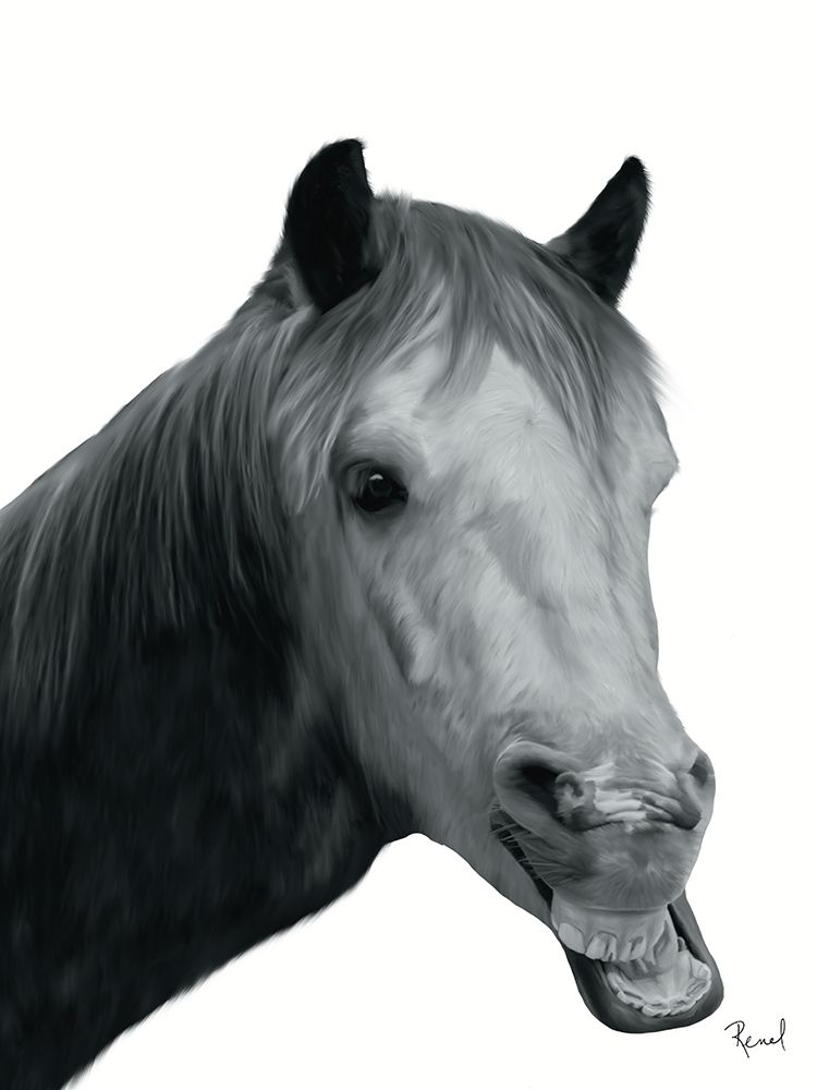 Laugh Out Loud Series 6 art print by Renel Peters for $57.95 CAD