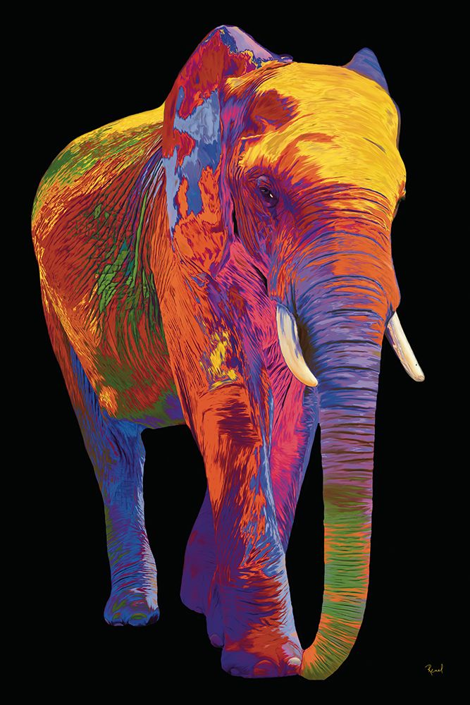 Elephant In Full Color On Black art print by Renel Peters for $57.95 CAD