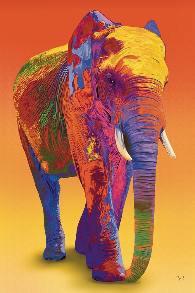 Elephant In Full Color art print by Renel Peters for $57.95 CAD
