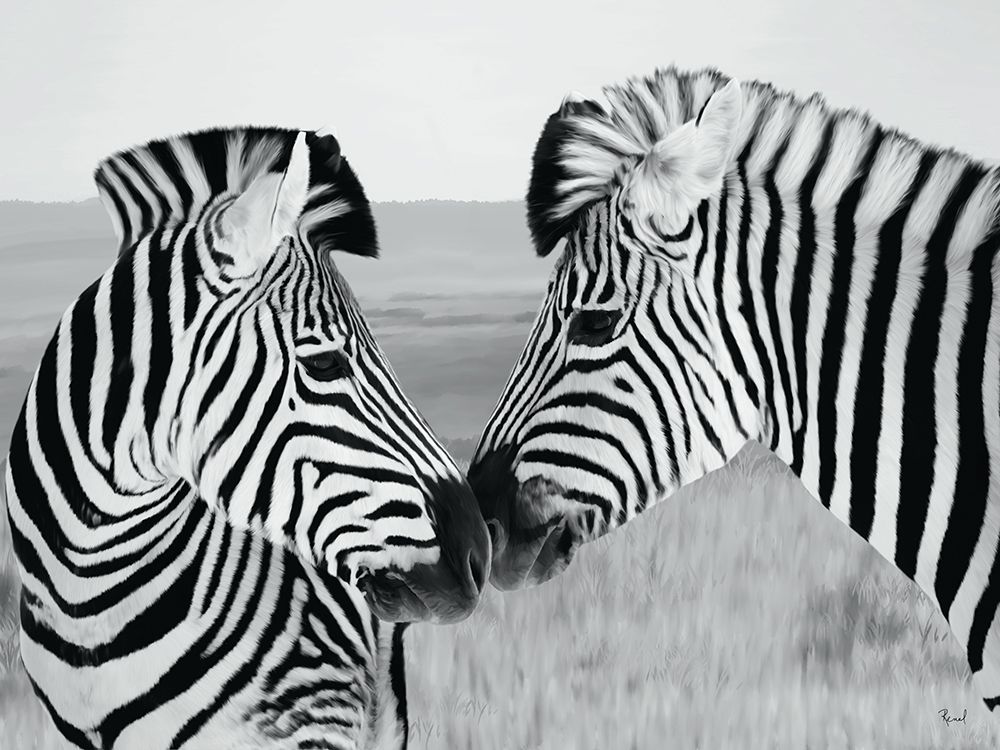 Pair Of Zebra art print by Renel Peters for $57.95 CAD