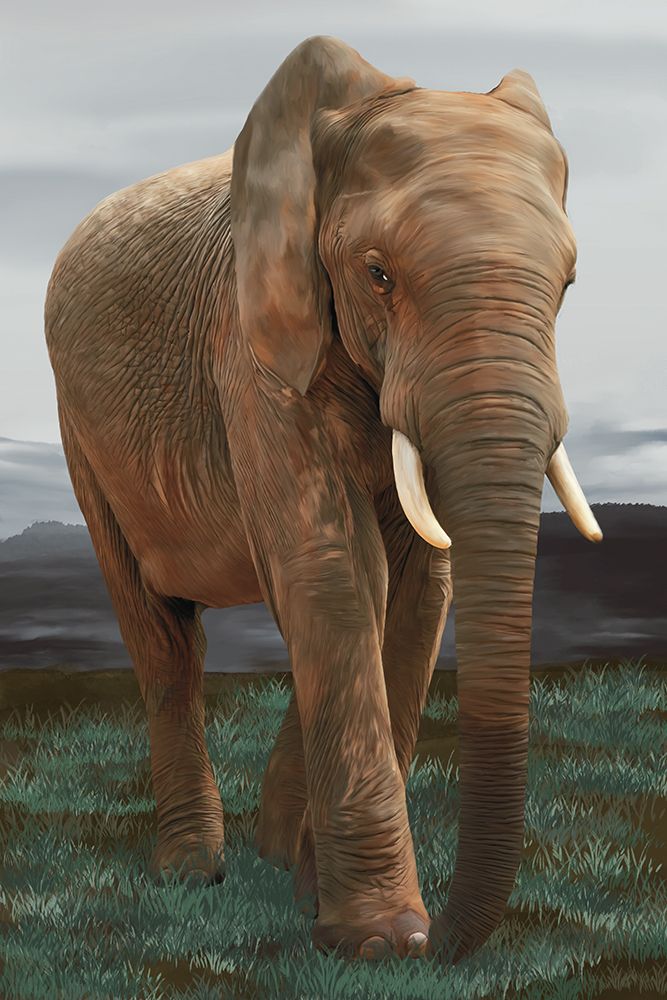 Leader Of The Herd art print by Renel Peters for $57.95 CAD