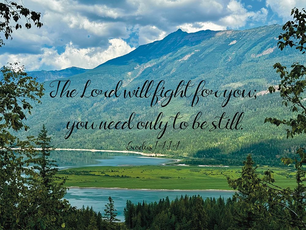 The Lord Will Fight art print by Renel Peters for $57.95 CAD