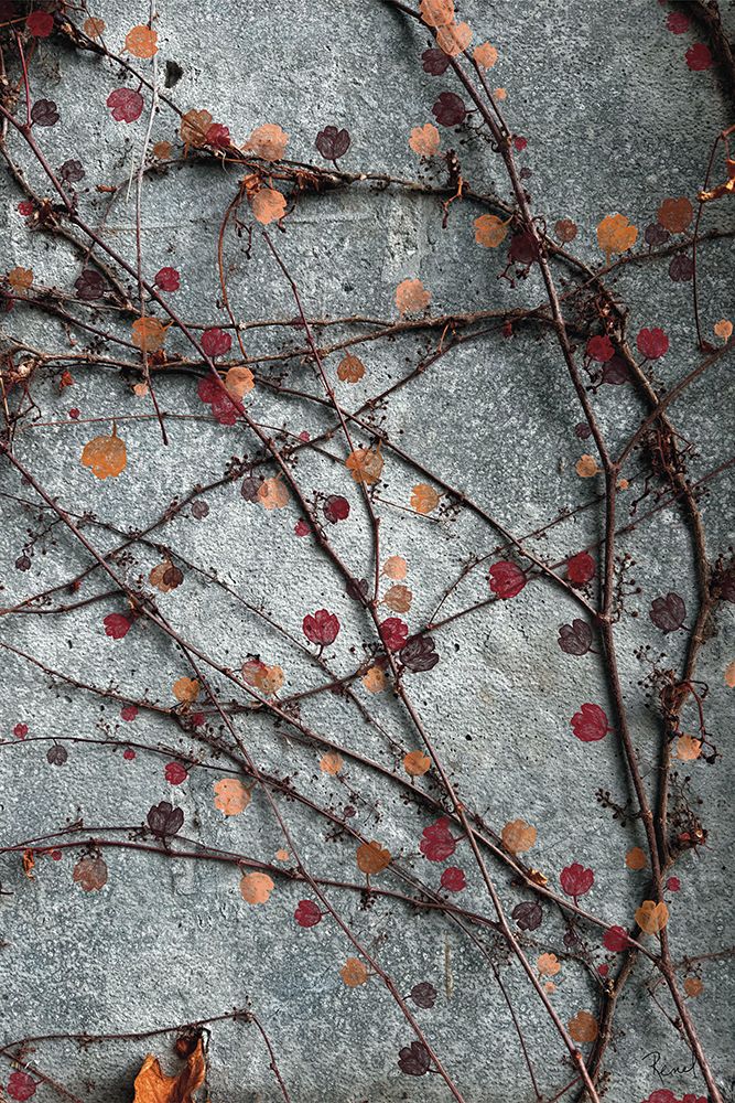 Budding Vines 1 art print by Renel Peters for $57.95 CAD