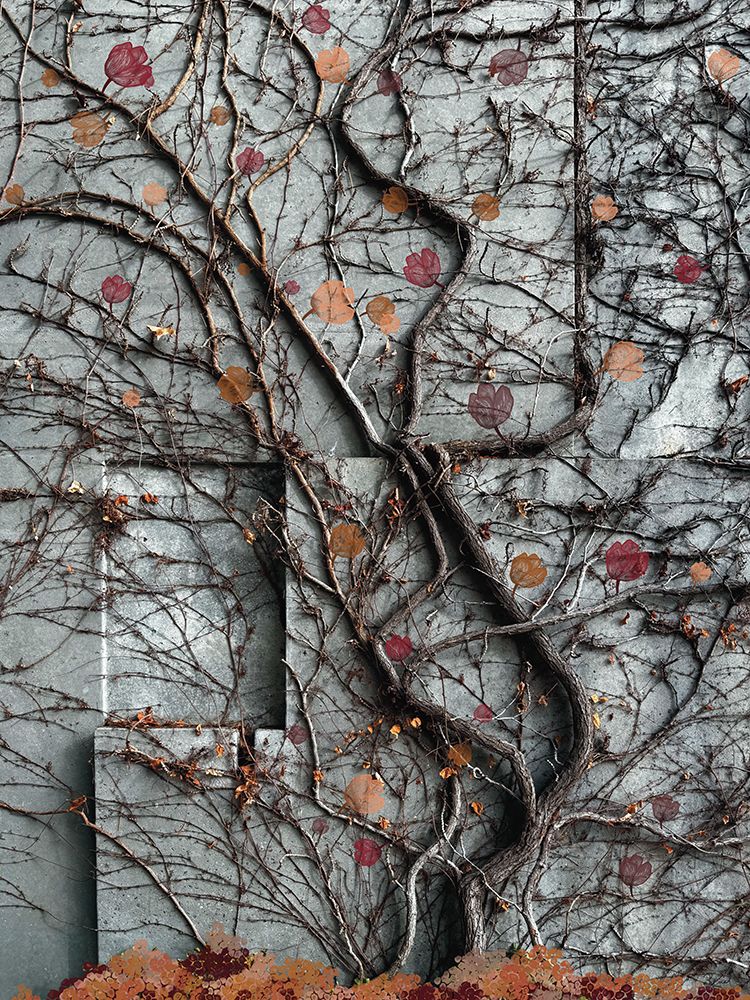 Budding Vines 2 art print by Renel Peters for $57.95 CAD