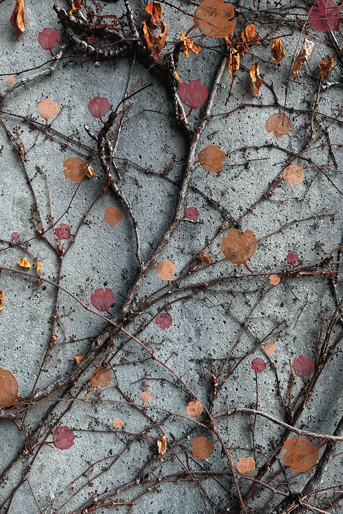 Budding Vines 3 art print by Renel Peters for $57.95 CAD