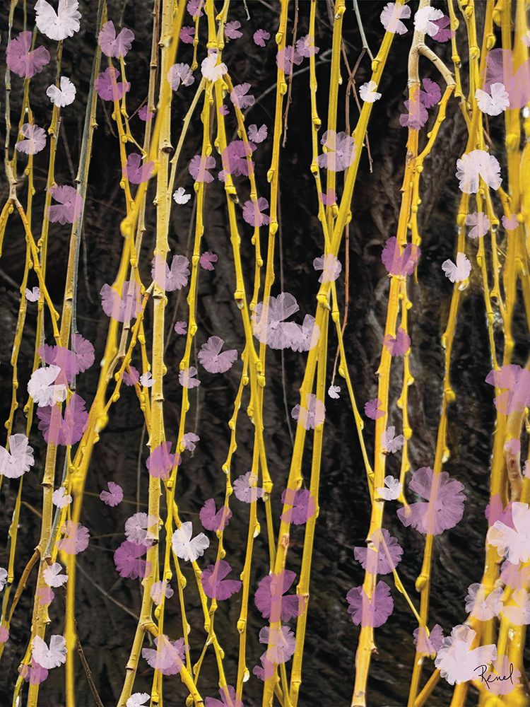 Spring  Blossoms 1 art print by Renel Peters for $57.95 CAD