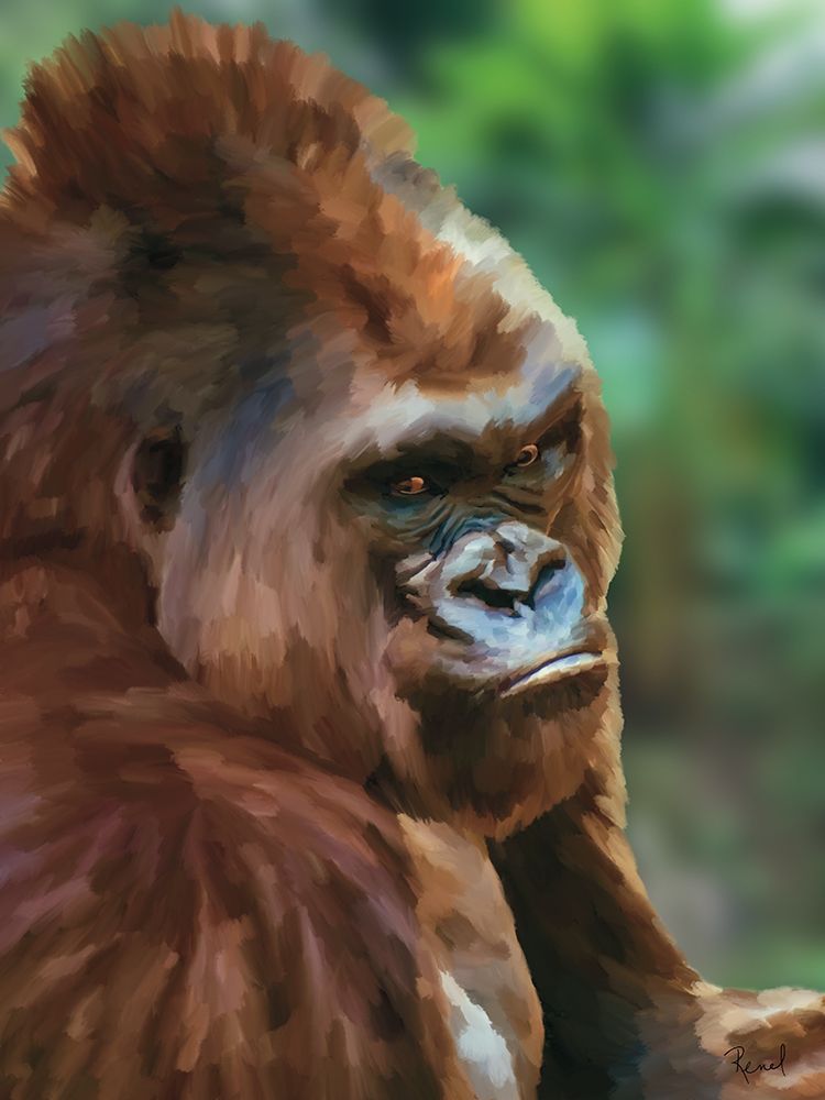 Animals With Attitude Gorilla art print by Renel Peters for $57.95 CAD