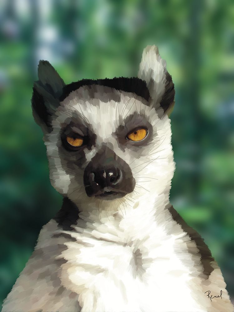 Animals With Attitude Lemur art print by Renel Peters for $57.95 CAD