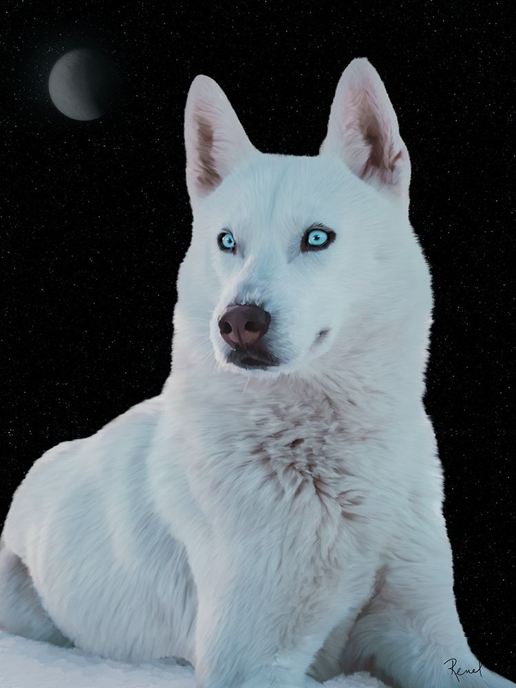 White Wolf art print by Renel Peters for $57.95 CAD