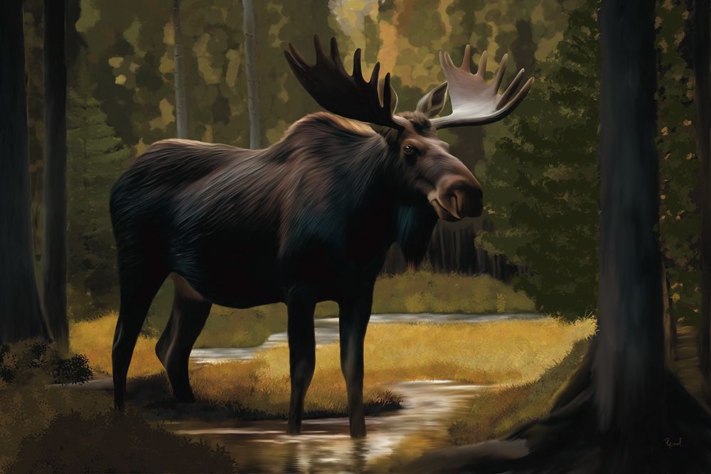 Moose In The Forest art print by Renel Peters for $57.95 CAD