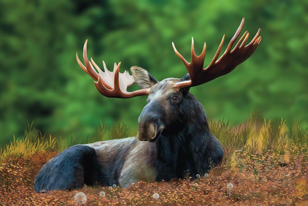 Relaxing Moose art print by Renel Peters for $57.95 CAD