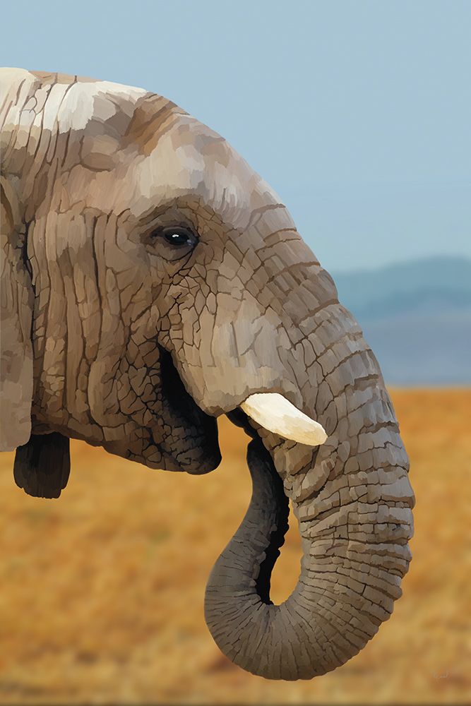 African Elephant art print by Renel Peters for $57.95 CAD