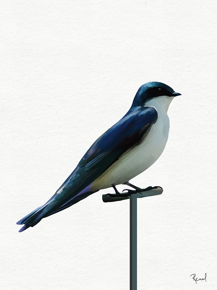 Ready To Fly 1 art print by Renel Peters for $57.95 CAD