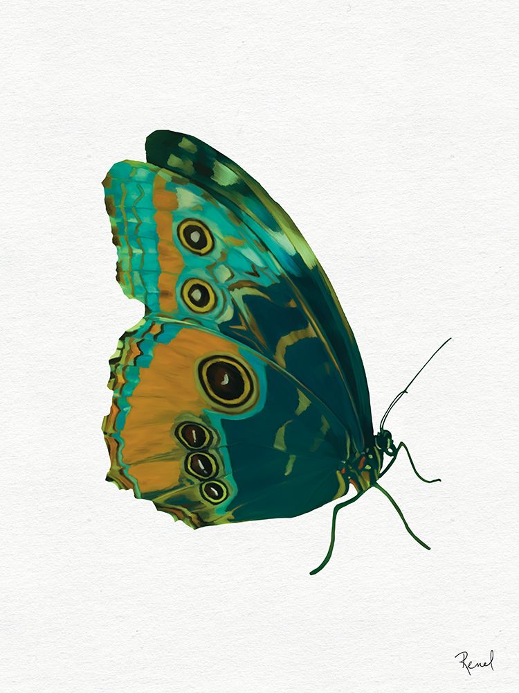 Wings To Fly 1 art print by Renel Peters for $57.95 CAD