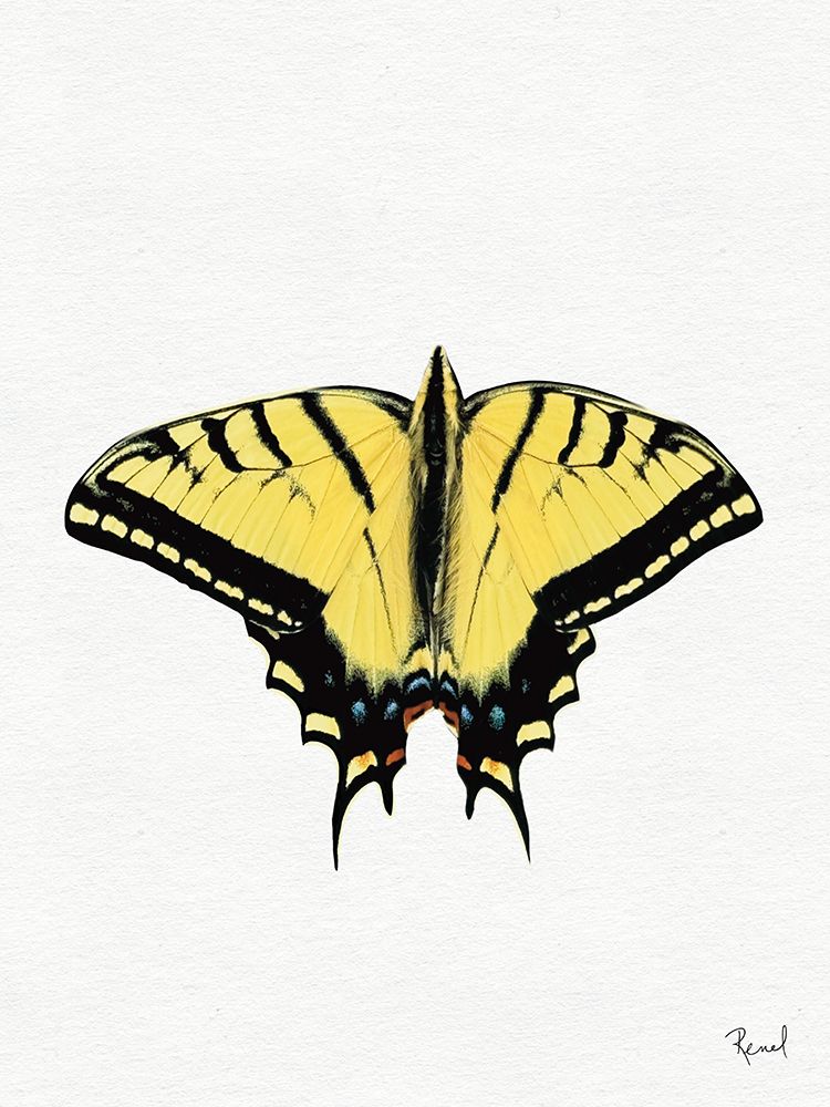 Wings To Fly 2 art print by Renel Peters for $57.95 CAD