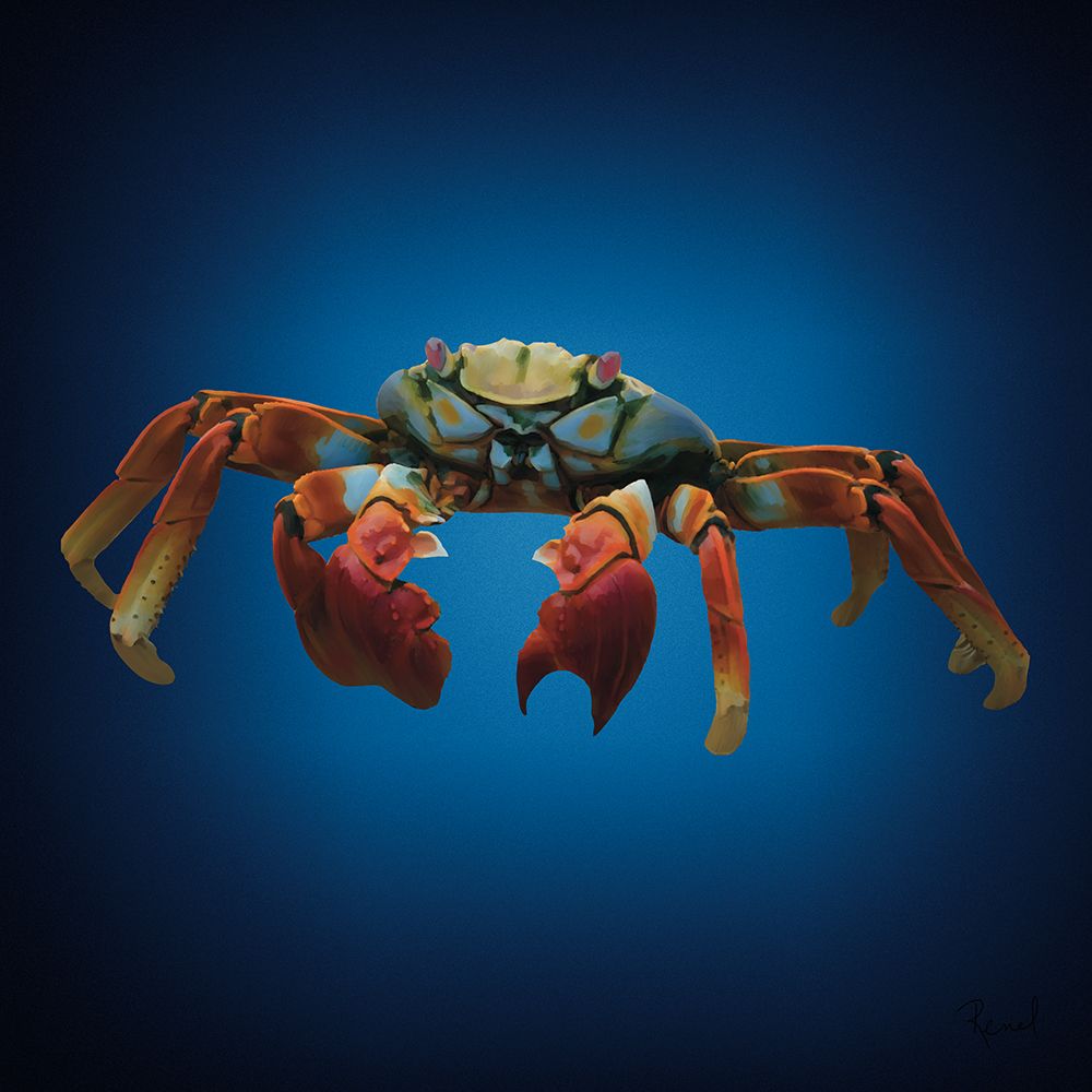 Crab art print by Renel Peters for $57.95 CAD