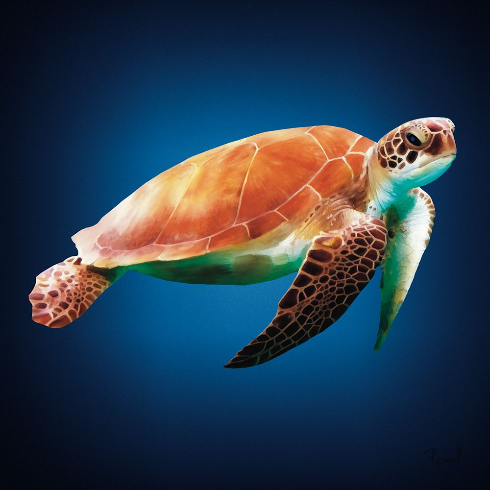Sea Turtle art print by Renel Peters for $57.95 CAD