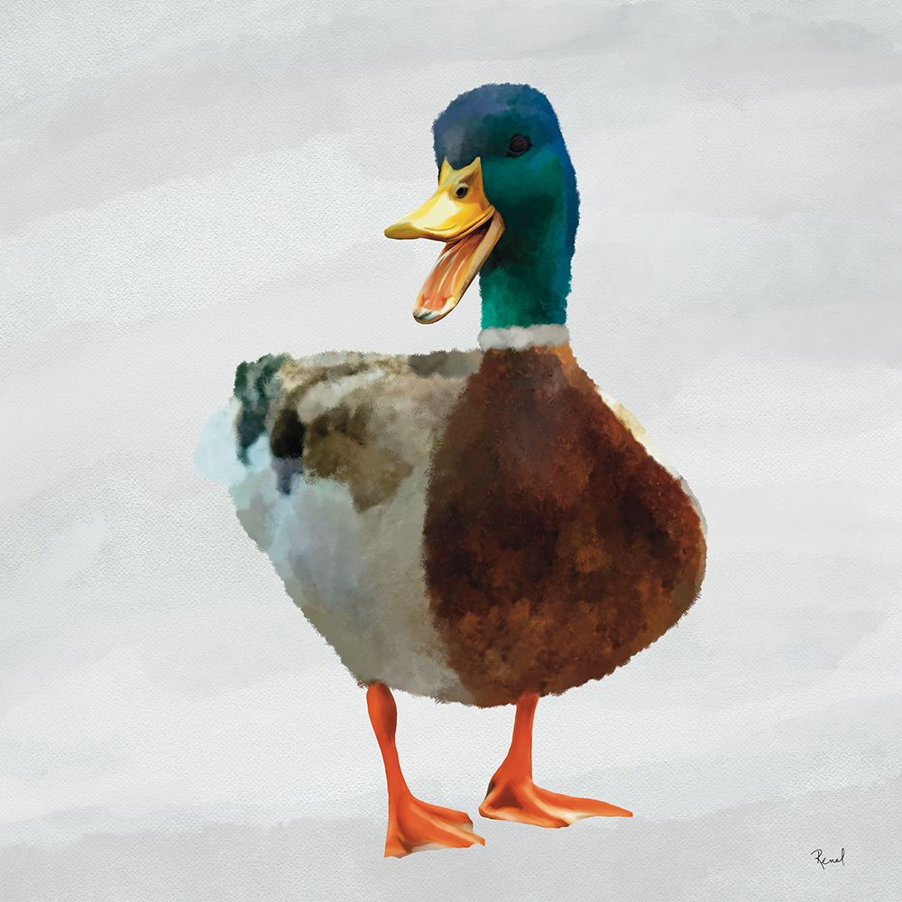 Squawking Duck 1 art print by Renel Peters for $57.95 CAD
