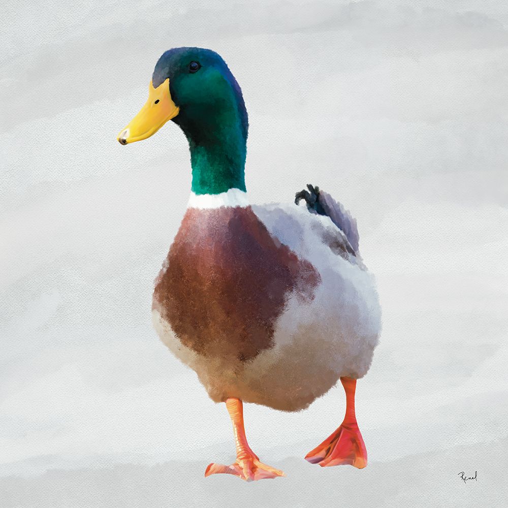 Squawking Duck 2 art print by Renel Peters for $57.95 CAD