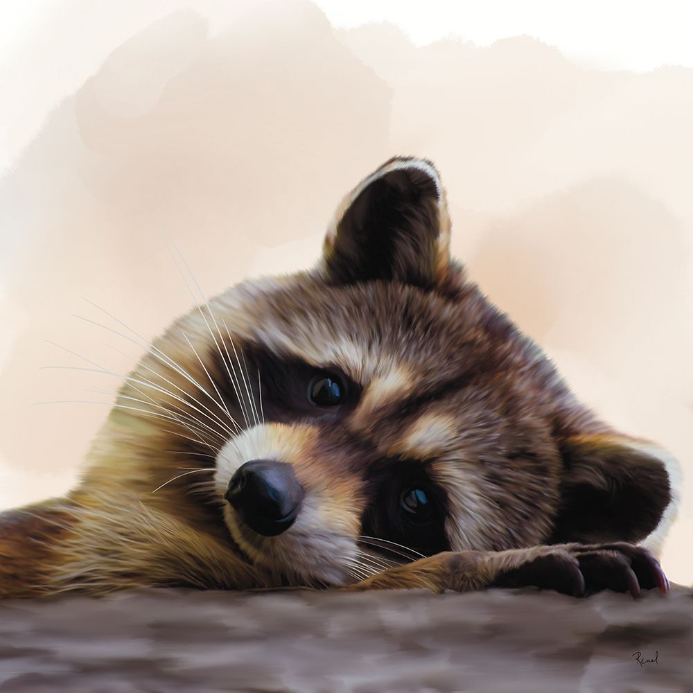 Endearing Raccoon 1 art print by Renel Peters for $57.95 CAD