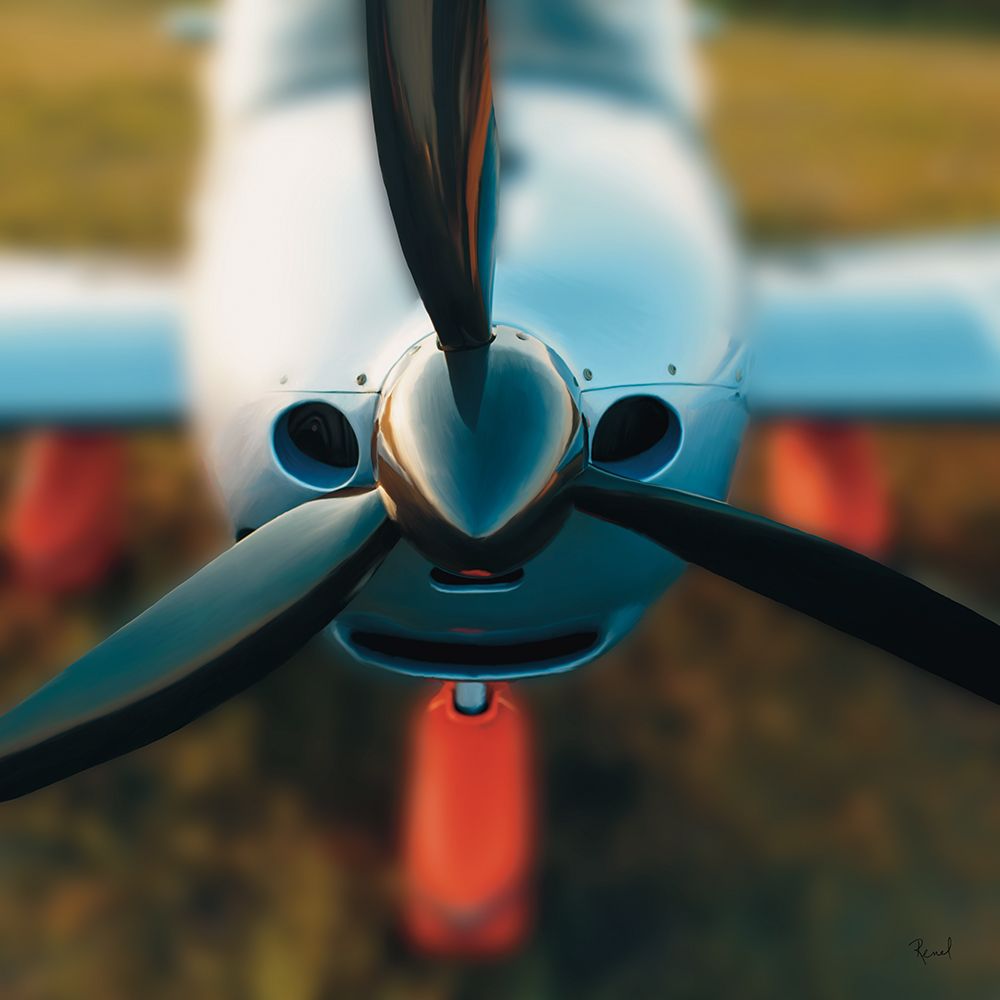 Propeller Series 1 art print by Renel Peters for $57.95 CAD