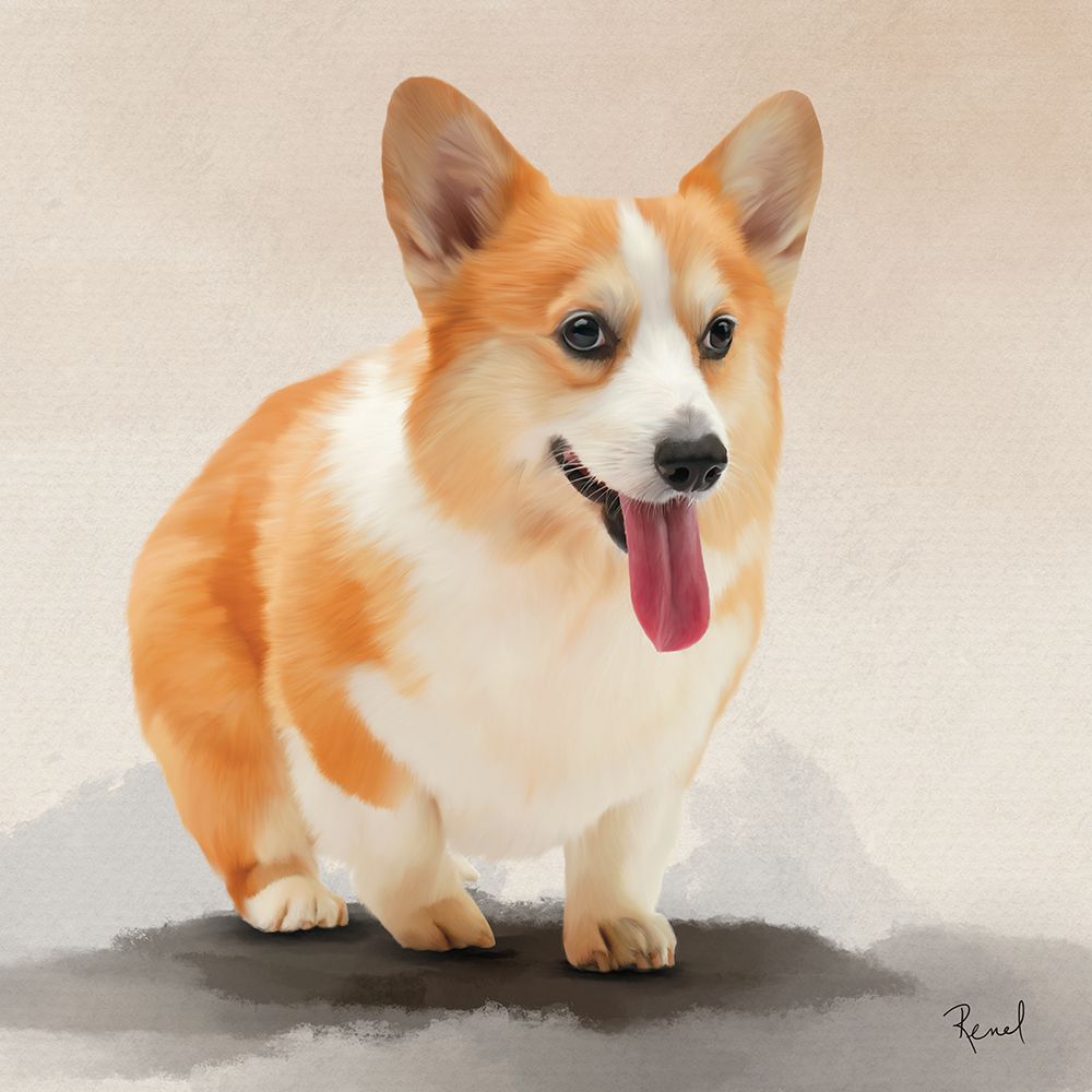 Corgi art print by Renel Peters for $57.95 CAD