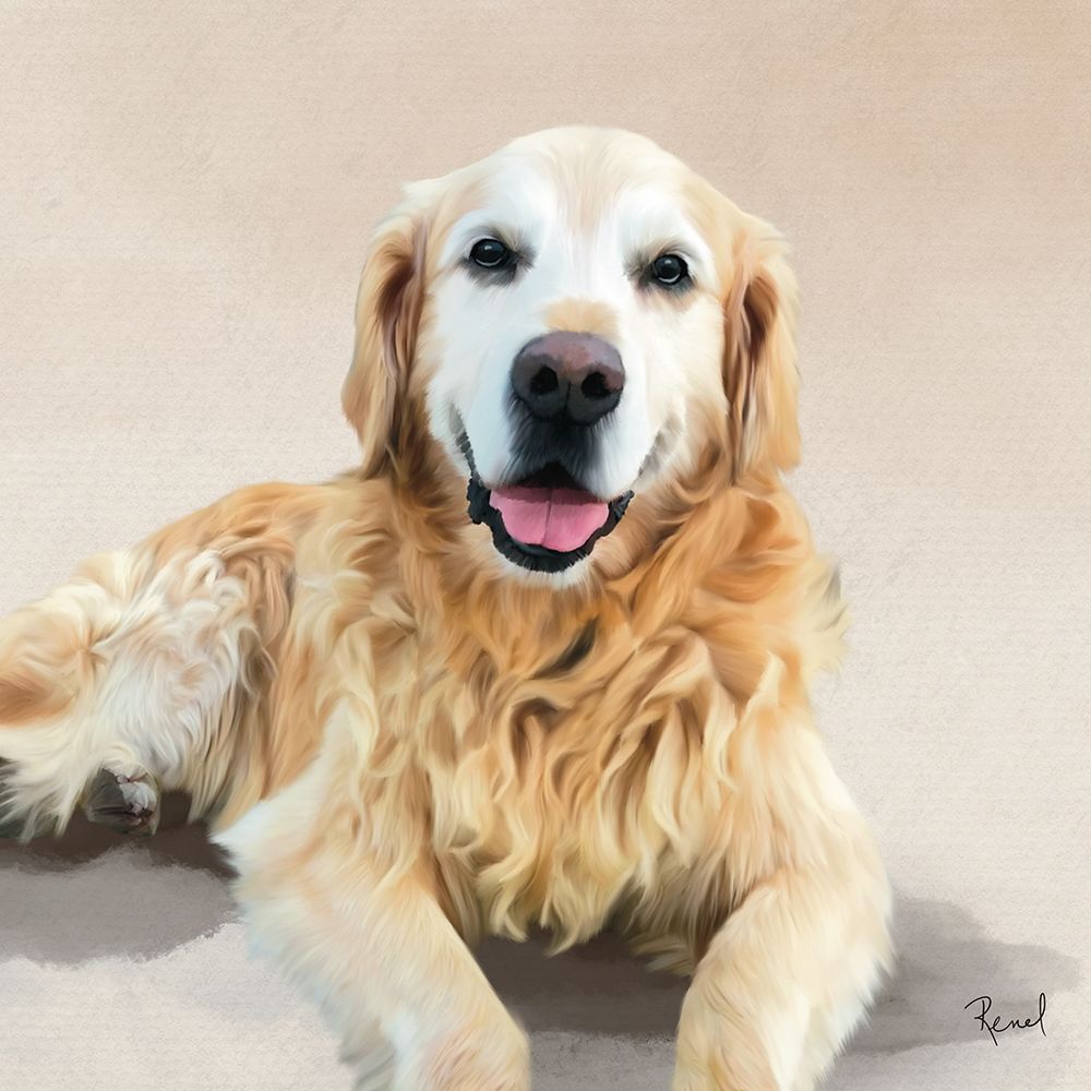 Golden Retriever art print by Renel Peters for $57.95 CAD