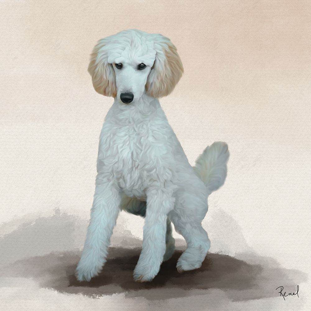 Poodle art print by Renel Peters for $57.95 CAD