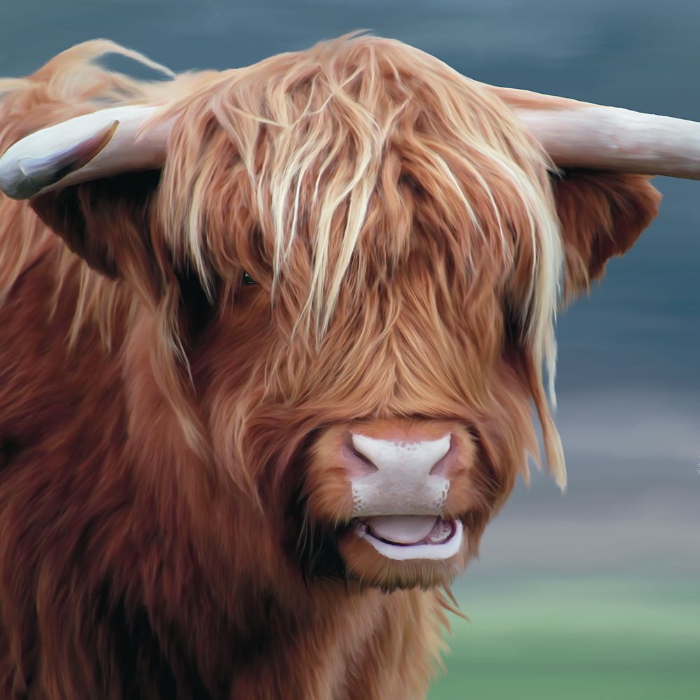 Up Close With Highland Cows 1 art print by Renel Peters for $57.95 CAD