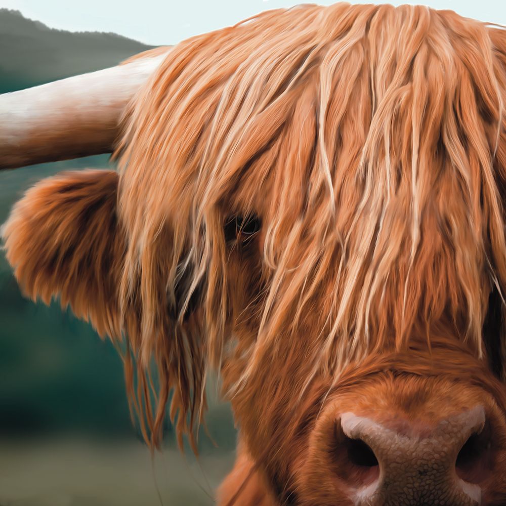 Up Close With Highland Cows 2 art print by Renel Peters for $57.95 CAD