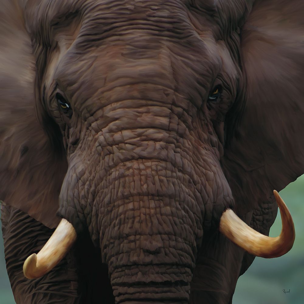Elephant Front View art print by Renel Peters for $57.95 CAD